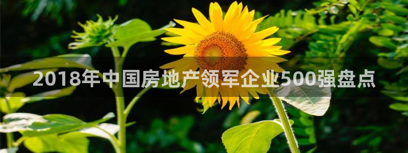 永利优惠大厅