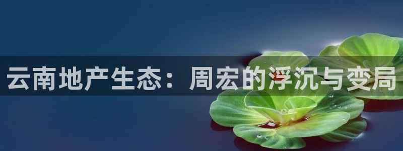 永利投资合法吗