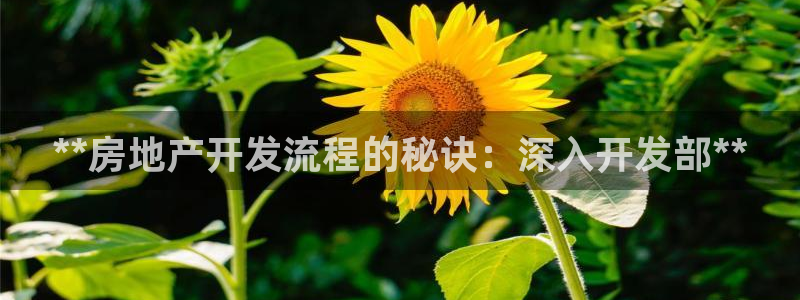 佛山永利车业