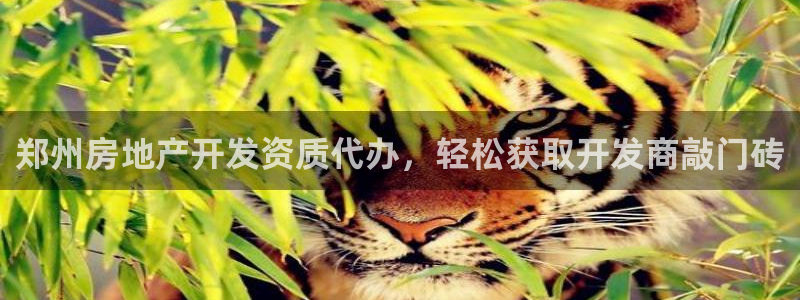 永利充值第三方交易是什么