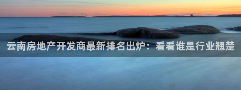 永利制带