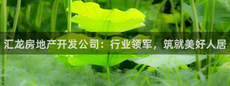 佛山永利实业有限公司