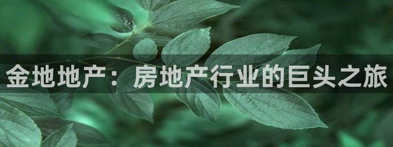 永利带业公司怎么样