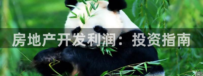 永利带业集团2020年的业绩状况