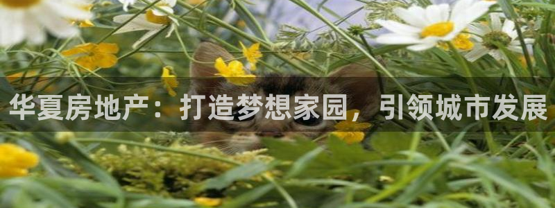 永利建筑工程有限公司