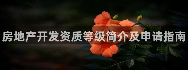 永利官网查询系统