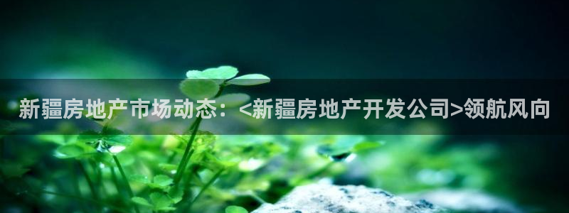 永利集团董事长