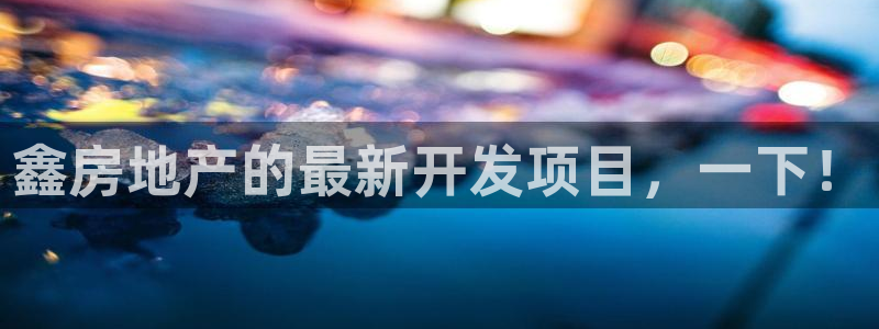 永利bet