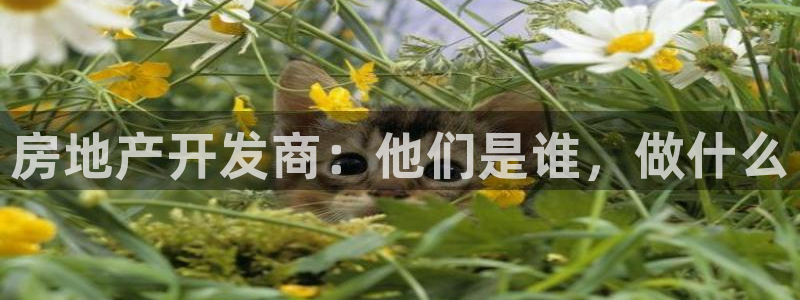 永利公司是做什么的