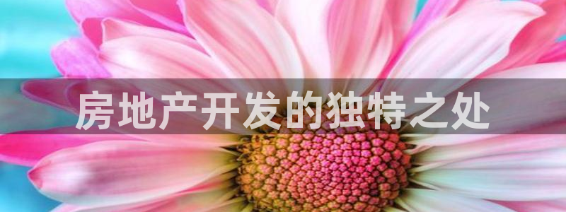 永利汇招聘