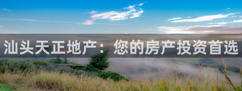 浙江永利集团董事长