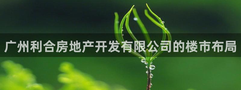 永利传送带业务