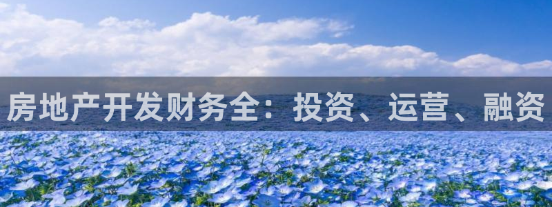 永利公司是做什么的