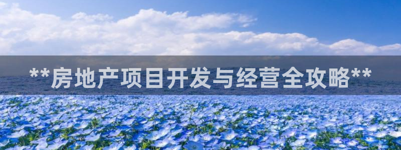 永利房地产有限公司董事长是谁