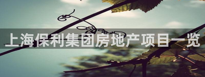9900777z永利网