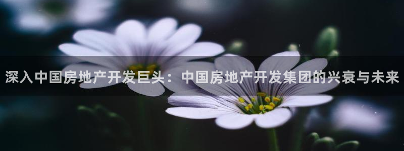 永利皮带官网旗舰店
