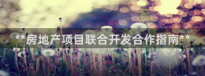 永利皮带官网价格查询表