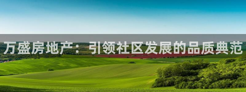 金沙永利夜总会怎么样