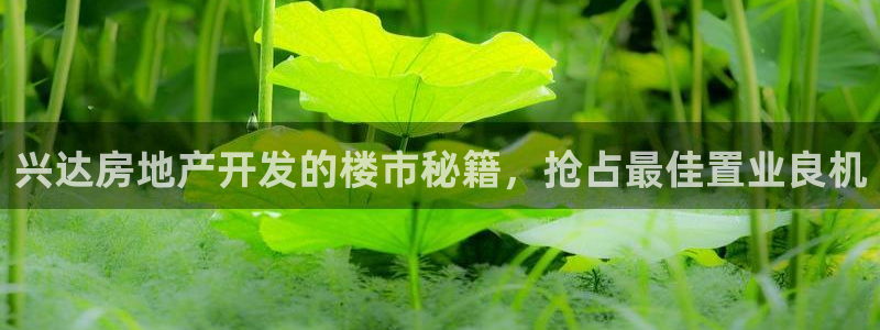 永利运动鞋是几几年出的