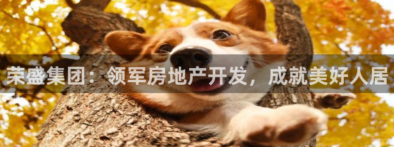 永利制版厂