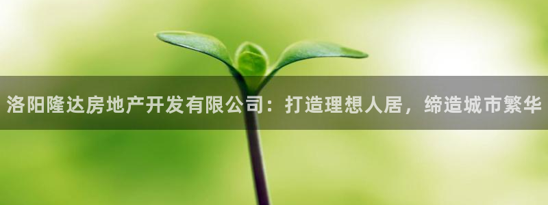 永利地产