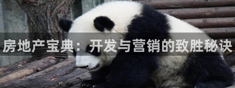 永利股份是做什么的