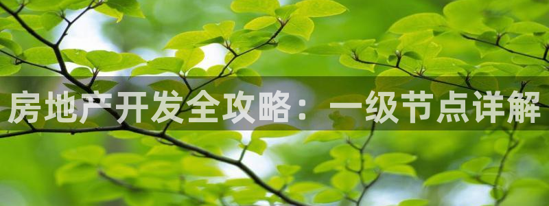 绍兴永利集团董事长
