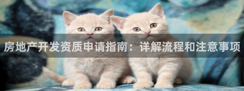 永利制带合作的公司