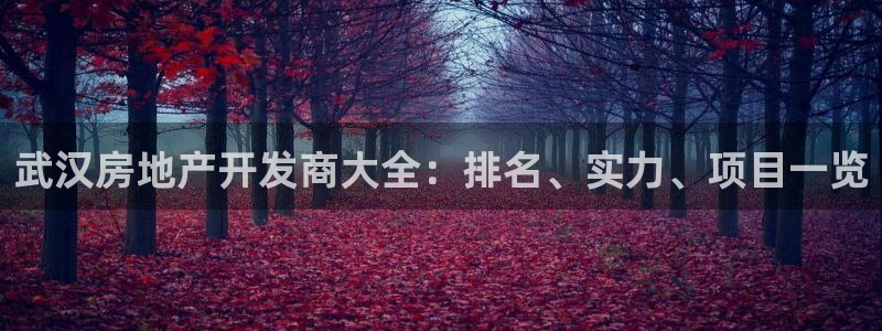 为什么永利会打不开了