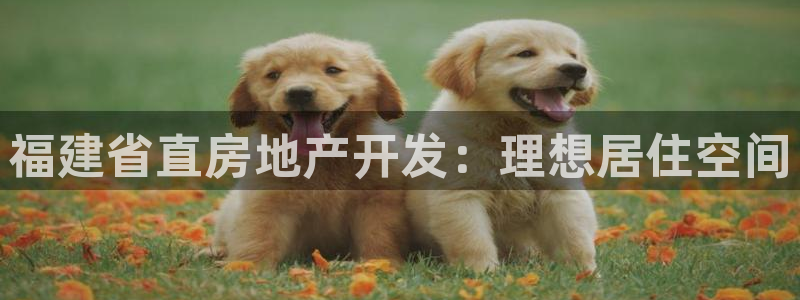 鄂尔多斯永利煤矿