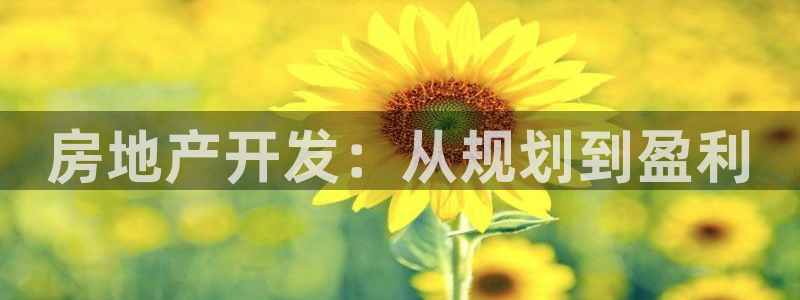 永利提不让提现怎么办