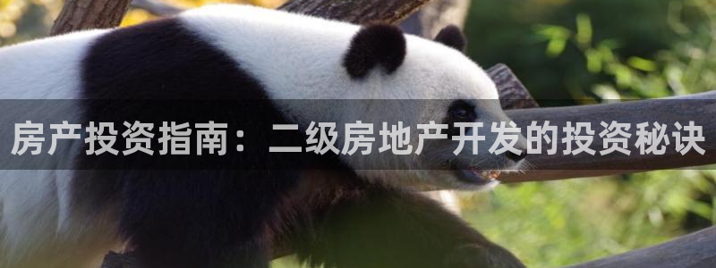 永利金文化有限公司