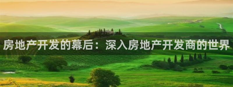 永利官网