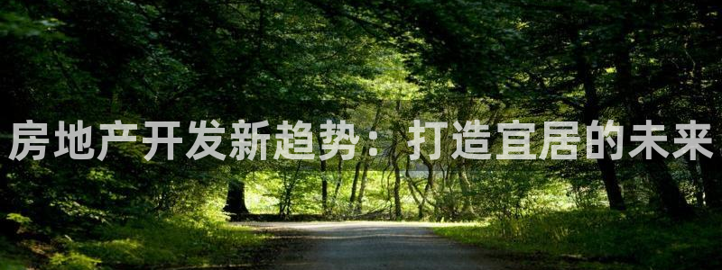 永利房地产有限公司董事长是谁