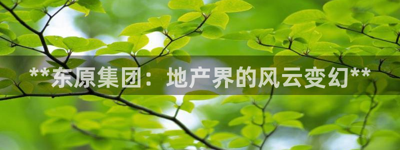 永利保险公司排名
