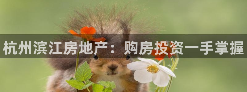 永利服饰有限公司