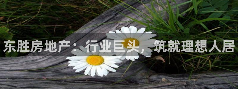 佛山永利工业皮带