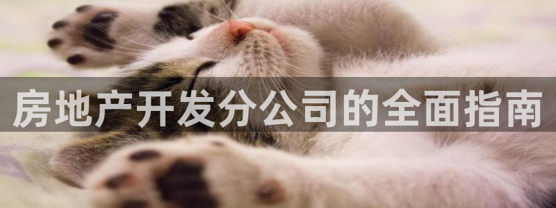 永利置业