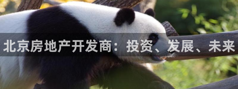 永利官网是什么