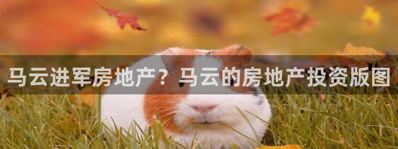 永利官网中心