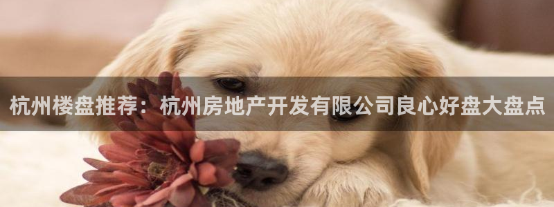 永利汇茶具有限公司
