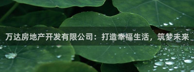 永利积分卡怎么算的