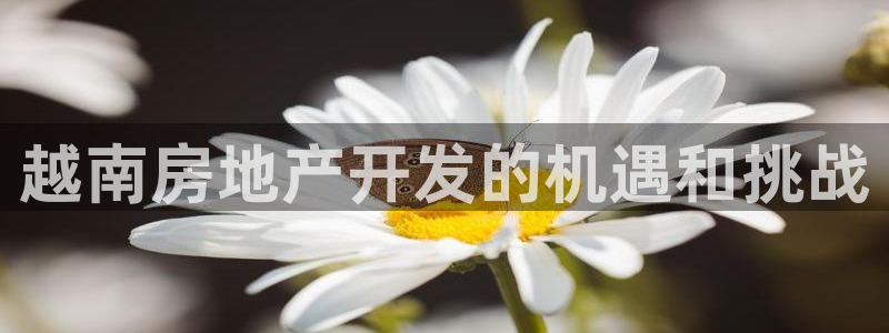 永利制带有限公司