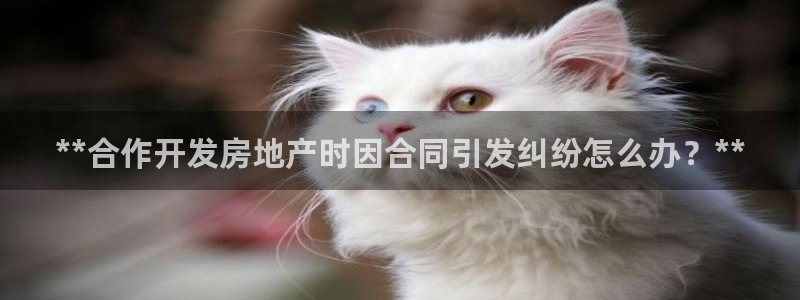 佛山永利车业