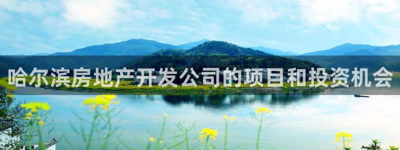 永利表行为什么那么便宜