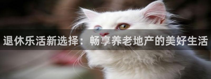 永利皮带型号