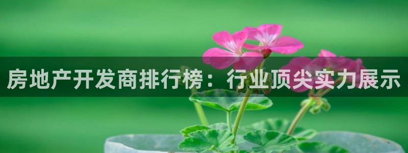 永利官方网招聘最新消息