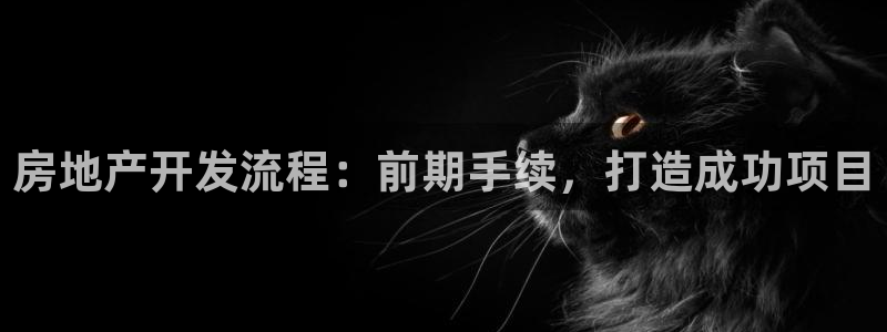 鄂尔多斯永利煤矿简介