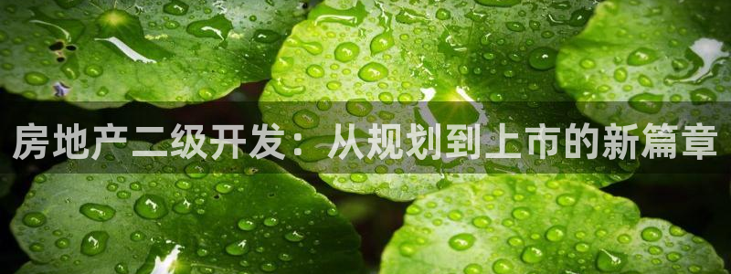 永利企业