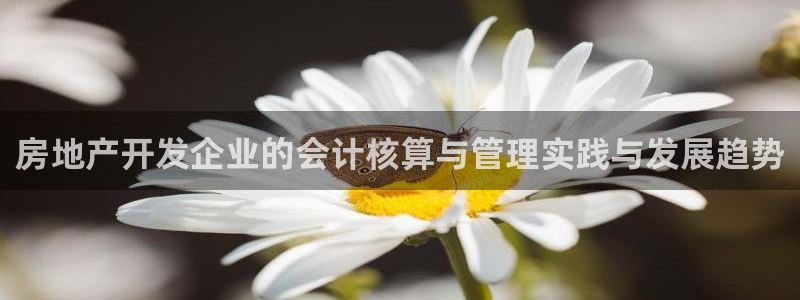 永利皮带官网价格查询系统